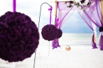 Sarasota Wedding and Vow Renewal Packages