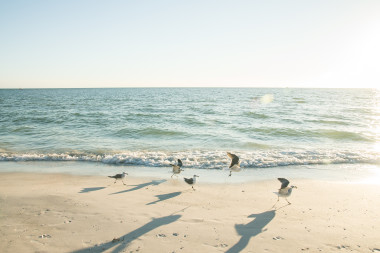 Treasure Island Beach Wedding Tide The Knot Beach Weddings